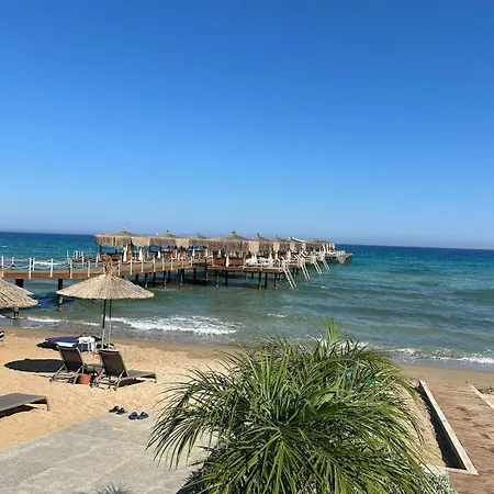 Severny Cyprus Iskele District (Northern Cyprus)